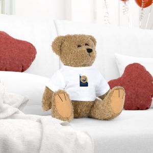 Classic Teddy Bear Plush with Custom T‑Shirt – Small Logo Design
